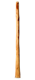 Epoxy Resin Finish Didgeridoo (TM393)